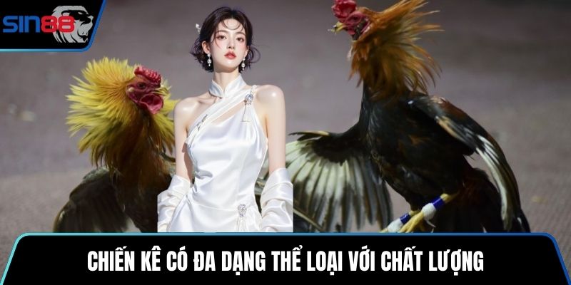 Chiến kê có đa dạng thể loại với chất lượng