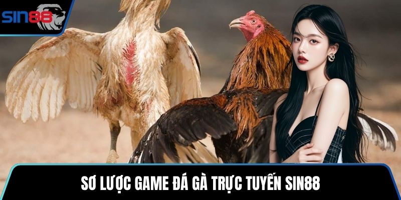 Sơ lược game đá gà trực tuyến SIN88