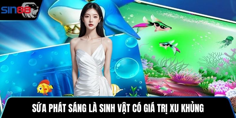 Sứa phát sáng là sinh vật có giá trị xu khủng